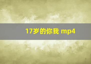 17岁的你我 mp4